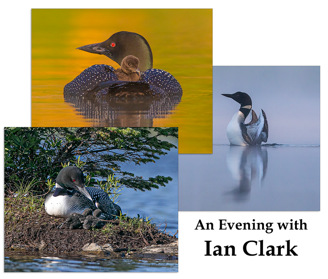 AN Evening with Ian Clark